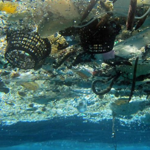 Пластик,экология,фауна, 99% пластика, попадающего в океан, бесследно исчезает