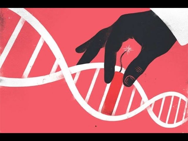 Дружественный геноцид ДНК