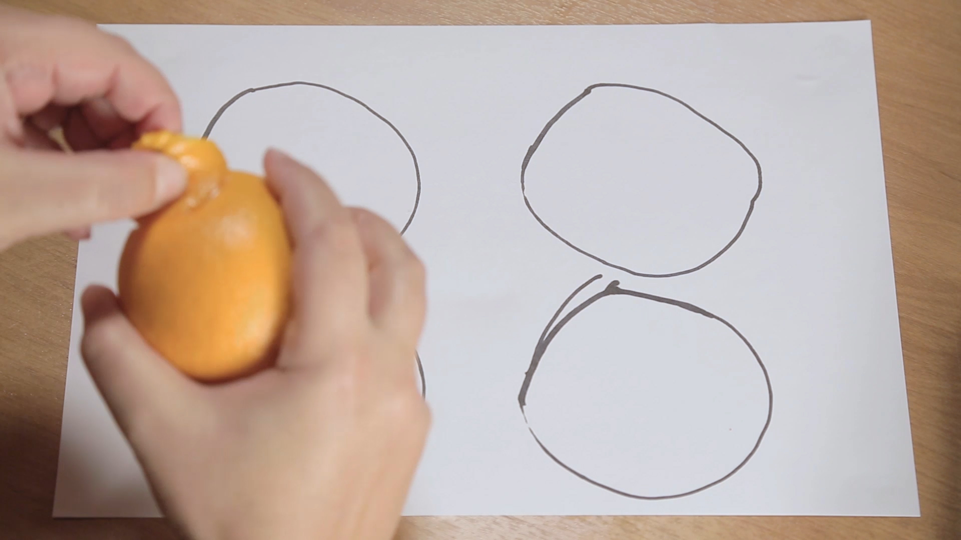 Гуманитарий объяснил математику на апельсинах